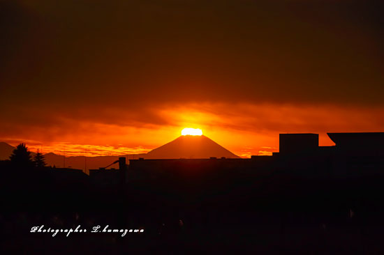 20231116-Chofu_Airport_daiya5783