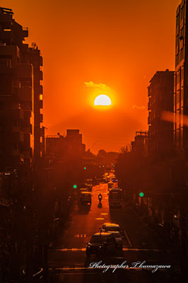 20231225-higashikurume2089tm