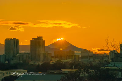 20240121-fuchu_sengenyama3016m