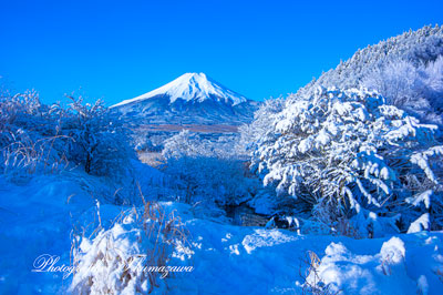 20240226-oshinomura7051