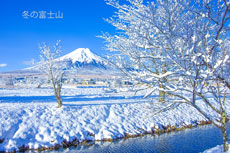 20240226-oshinomura7083m