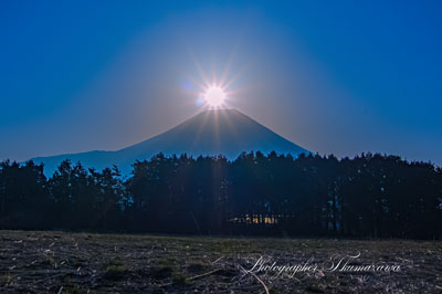 20240316-asagirikogen7495m