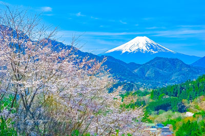 20240411-otsukishi_magi7607