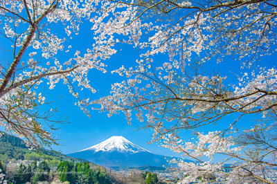 20240415-fujiyoshida_asumi7810
