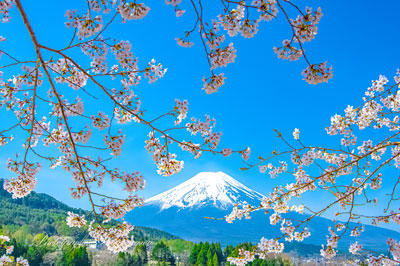 20240415-fujiyoshida_asumi7891