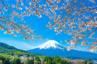 20240415-fujiyoshida_asumi7894