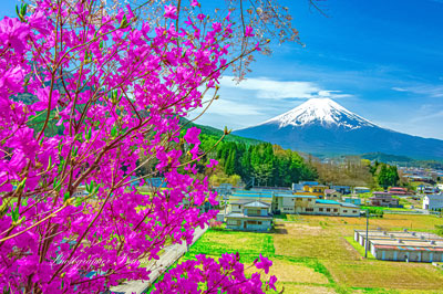 20240420-fujiyoshida_asumi8228