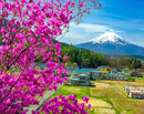 20240420-fujiyoshidashi_asumi8228m