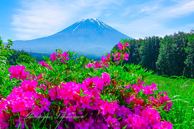 20240515-asagirikougen8338