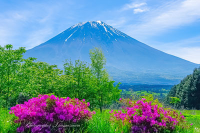 20240515-asagirikougen8354