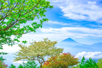 20240524-amariyama3951