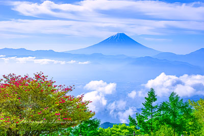 20240524-amariyama3960