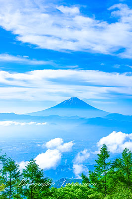 20240524-amariyama3969t