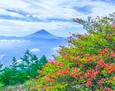 20240524-amariyama3987m