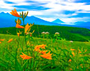 20240718-kirigamine4044m