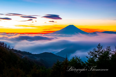20241002-ikenocyayarindo4570