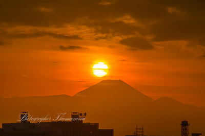 20241117-mitakashi_osawa25179m