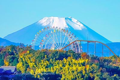 20241119-chofu_somechi09659