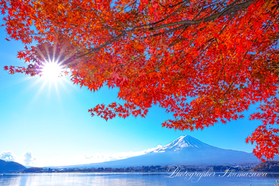 20241122-kawaguchiko09752