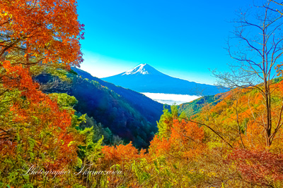 20241122-misakatoge09674