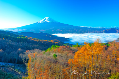 20241122-nishikawarindo-8868