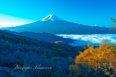 20241122-nishikawarindo8844