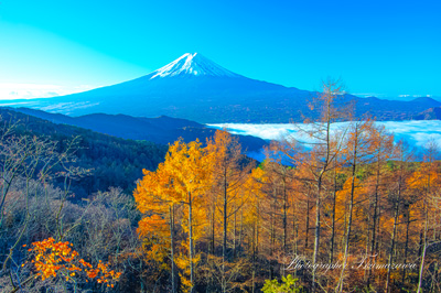 20241122-nishikawarindo8851