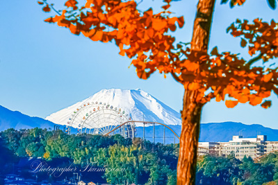 20241125-chofu_somechi00083