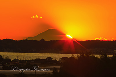 20241130-B&G_tamatsukuria5482m