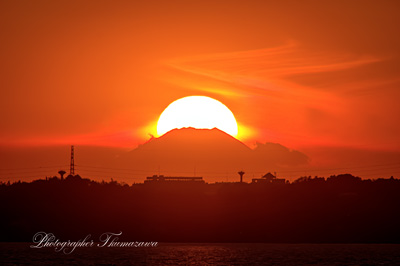 20241206-kasumigaura_kamo5975m