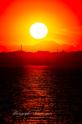 20241206-kasumigaura_kamot00967m
