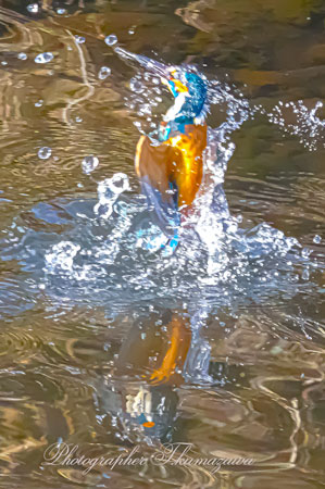 20250223-nogawa06865t