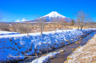 20250307-oshinomura7886