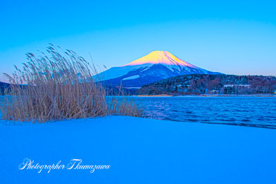20250307-yamanakako0411