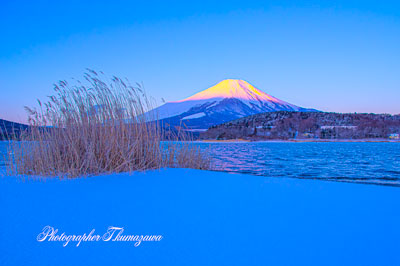 20250307-yamanakako0413
