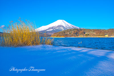 20250307-yamanakako0477
