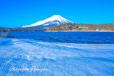 20250307-yamanakako0508