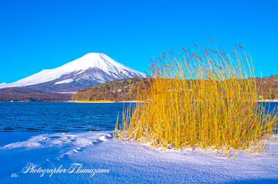 20250307-yamanakako0513
