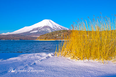 20250307-yamanakako0516