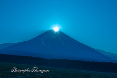20250322-asagirikogen0582m