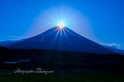 20250405-asagirikogen0941m