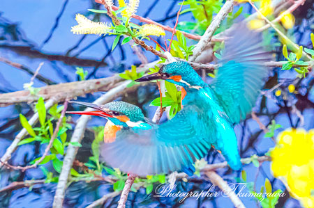 20250409-nogawa01859