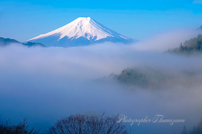 20250412-otsukishi_oiseyama02237