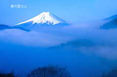 20250412-otsukishi_oiseyama02242m