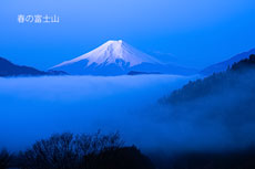 20250412-otsukishi_oiseyama1116m