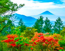 20250606-hokutoshi_tennyosan1462m
