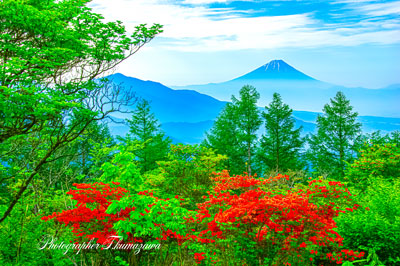 20250606-tennyosan1461