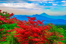 20250606-utsukushimori1429m