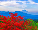 20250606-utsukushimori1437m