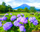 20250628-fujiyoshidashi06303m